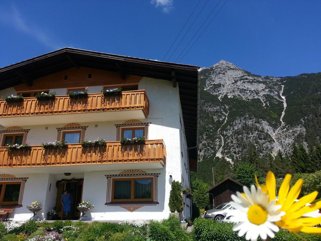 Apartamento Birkenhof Leutasch Exterior foto